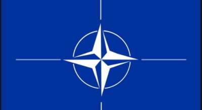 В Литве начали жаловаться на поведение солдат НАТО во время учений - actualnews.org - Литва