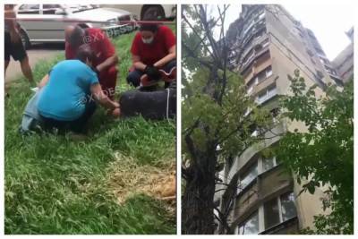В Одессе молодой рабочий сорвался с высоты 8-го этажа, кадры ЧП: медики спасают ему жизнь - politeka.net - Одесса