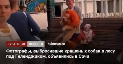 Фотографы, выбросившие крашеных собак в лесу под Геленджиком, объявились в Сочи - kubnews.ru - Сочи - Краснодарский край - Геленджик
