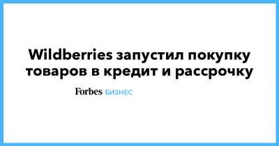 Татьяна Бакальчук - Wildberries запустил покупку товаров в кредит и рассрочку - forbes.ru - Wildberries