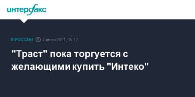 Александр Соколов - "Траст" пока торгуется с желающими купить "Интеко" - interfax.ru - Москва
