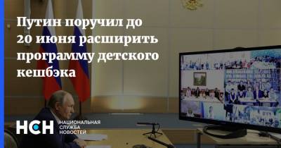 Владимир Путин - Михаил Мишустин - Дмитрий Чернышенко - Путин поручил до 20 июня расширить программу детского кешбэка - nsn.fm