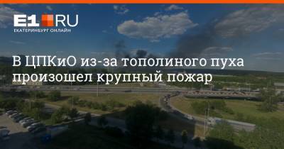 В ЦПКиО из-за тополиного пуха произошел крупный пожар - e1.ru - Екатеринбург