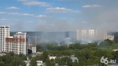 В Екатеринбурге в парке Маяковского начался пожар - znak.com - Екатеринбург - Свердловская обл.