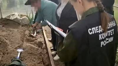 Показала, как закапывала зятя. Подробности семейного преступления в Вязьме - vesti.ru - Смоленск - Вязьмы