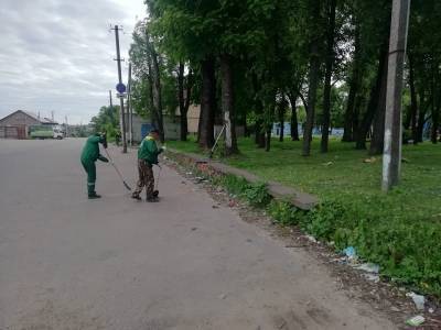 В Смоленской области состоялся Эко-марафон - rabochy-put.ru - Смоленская обл.