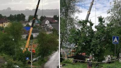 В Воронеже посередине детской площадки установили вышку сотовой связи - vestivrn.ru - Воронеж