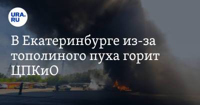 В Екатеринбурге из-за тополиного пуха горит ЦПКиО. Видео - ura.news - Екатеринбург - Свердловская обл.