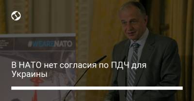 Владимир Зеленский - Мирча Джоанэ - В НАТО нет согласия по ПДЧ для Украины - liga.net - Грузия