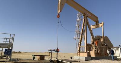 Сергей Перелома - "Нафтогаз" согласовал увеличение добычи газа и нефти в Египте - dsnews.ua - Египет - Каир - county Petroleum