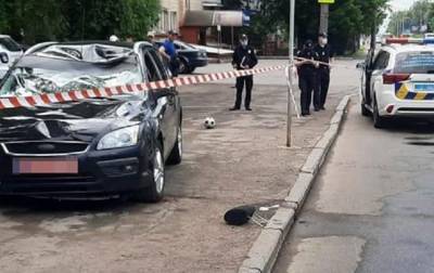 В Луцке на переходе сбили отца с детьми - korrespondent.net - Луцк - Волынская обл.