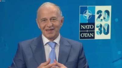Владимир Зеленский - Мирча Джоанэ - В НАТО заявили об отсутствии консенсуса по вопросу членства Украины в блоке - piter.tv - Украина