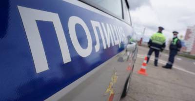 Пьяный член Общественной палаты Домодедова подрался с инспекторами ДПС, "защищая" друга - reendex.ru