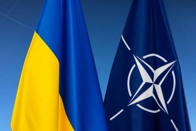 На саммите НАТО подтвердят политику "открытых дверей" для Украины, согласия о ПДЧ нет - kp.ua - Грузия