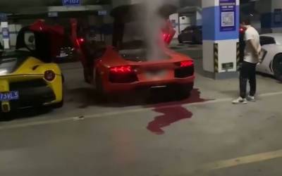 Водитель сжег мотор Lamborghini, пытаясь сделать шашлык у выхлопной трубы - zr.ru