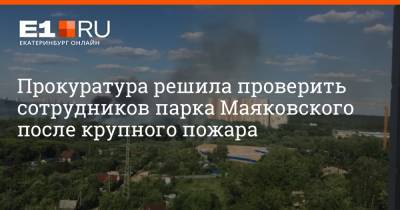 Прокуратура решила проверить сотрудников парка Маяковского после крупного пожара - e1.ru - Екатеринбург - район Октябрьский