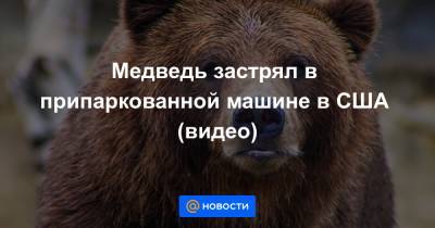 Медведь застрял в припаркованной машине в США (видео) - news.mail.ru - штат Теннесси - шт. Джорджия