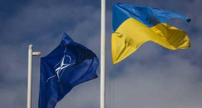 Мирча Джоанэ - В НАТО сказали, какое решение ждет Украину после саммита - novostiua.news - Киев - Грузия