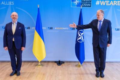 Мирча Джоанэ - НАТО не имеет плана вступления Украины в альянс, но держит двери открытыми - topwar.ru - Киев - Брюссель