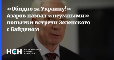 Владимир Зеленский - Николай Азаров - Энтони Блинкен - Джо Байден - «Обидно за Украину!» Азаров назвал «неумными» попытки встречи Зеленского с Байденом - nsn.fm - Киев - с. Байден