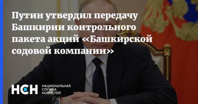 Владимир Путин - Путин утвердил передачу Башкирии контрольного пакета акций «Башкирской содовой компании» - nsn.fm - Башкирия