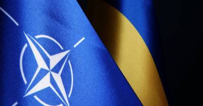 Мирча Джоанэ - Дмитрий Кулеба - Консенсуса по ПДЧ для Украины нет: в НАТО сказали, для чего Киеву нужны реформы - dsnews.ua - Киев