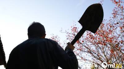 Смолянин в порыве гнева избил соседа лопатой - rabochy-put.ru - Смоленская обл.
