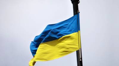 Владимир Зеленский - Михаил Подоляк - Джо Байден - Зеленский и Байден проведут телефонные переговоры 7 июня - piter.tv