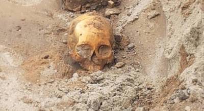 В Ярославле на Волжской набережной найден скелет - progorod76.ru - Ярославская обл. - Ярославль