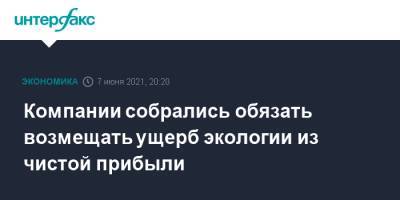 Компании собрались обязать возмещать ущерб экологии из чистой прибыли - interfax.ru - Москва