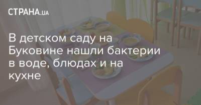 В детском саду на Буковине нашли бактерии в воде, блюдах и на кухне - strana.ua