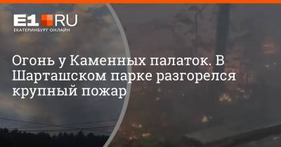 Огонь у Каменных палаток. В Шарташском парке разгорелся крупный пожар - e1.ru - Екатеринбург - Свердловская обл.