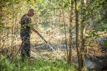 В Вологодском районе загорелся торфяник рядом с Лостой - vologda-poisk.ru
