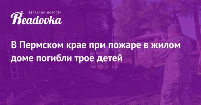 В Пермском крае при пожаре в жилом доме погибли трое детей - readovka.news - Пермский край