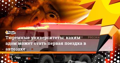 Тюремные университеты: каким адом может стать первая поездка в автозаке - ridus.ru - Московская обл.