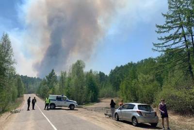 Виновникам лесного пожара на 400 га на Молоковке грозит штраф от 200 до 400 тыс. руб. - chita.ru
