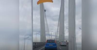 "На работу успеет": Парапланерист пролетел между вантами Золотого моста - reendex.ru - Екатеринбург - Владивосток