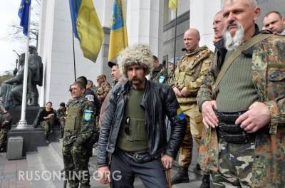 Россия была права: Сенаторы Франции вернулись из Украины в шоке - rusonline.org - Киев - Париж