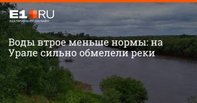 Воды втрое меньше нормы: на Урале сильно обмелели реки - e1.ru - Екатеринбург - Свердловская обл.