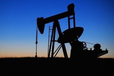 Пекка Хаависто - МИД Финляндии допустил сокращение закупок нефти у России - mk.ru - Финляндия