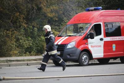 Запрет на посещение лесов продлится до 28 июня в Волгоградской области - volg.mk.ru - Волгоградская обл.