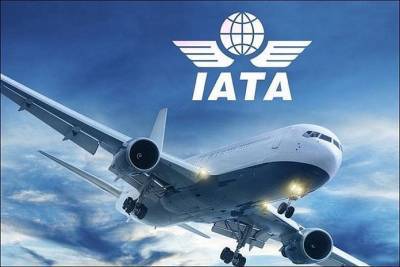 IATA призывает страны смягчить правила пересечения границ в краткосрочной и среднесрочной перспективах - trend.az - Япония