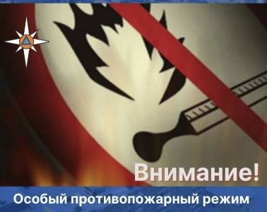 Внимание: на территории Пермского края введен особый противопожарный режим - iskra-kungur.ru - Пермь - Пермский край