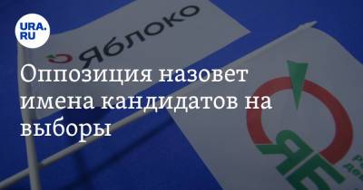 Оппозиция назовет имена кандидатов на выборы. Дата - ura.news - Москва