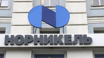 Илон Маск - Потанинский “Норникель”: реальная картина открытия нового производства никеля - ukrpost.biz