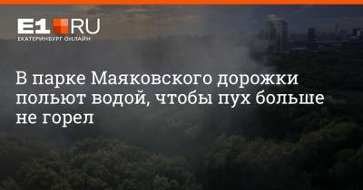 В парке Маяковского дорожки польют водой, чтобы пух больше не горел - e1.ru - Екатеринбург