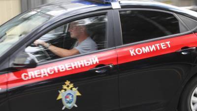 В Оренбургской области пропала 15-летняя девушка - iz.ru - Оренбург - Оренбургская обл.