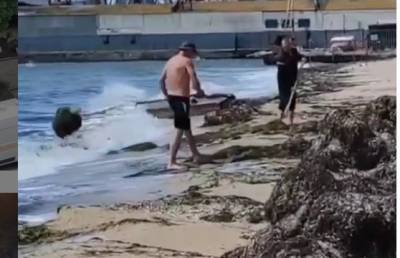 В Бердянске водоросли с пляжа сбрасывают обратно в море - kp.ua - Бердянск