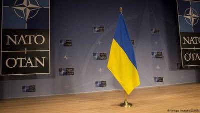 Мирча Джоанэ - В НАТО заявили об отсутствии консенсуса по вопросу членства Украины - obzor.lt - Украина - Грузия