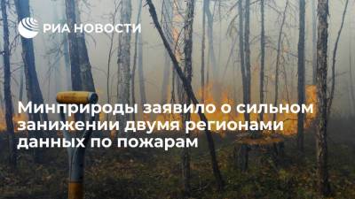 Александр Козлов - Минприроды заявило о сильном занижении двумя регионами данных по пожарам - ria.ru - Москва - Иркутская обл. - респ. Саха